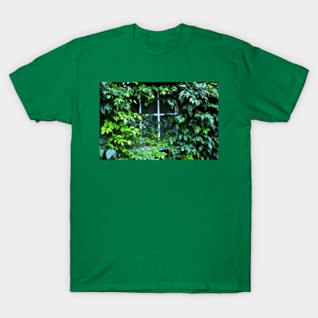 Trumpet Vine by Barn Window T-Shirt by LaurieMinor